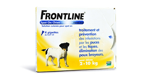 FRONTLINE